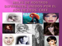 /album/fotogaleria/diapositiva19-jpg/
